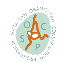 Sumatran Orangutan Conservation Programme
