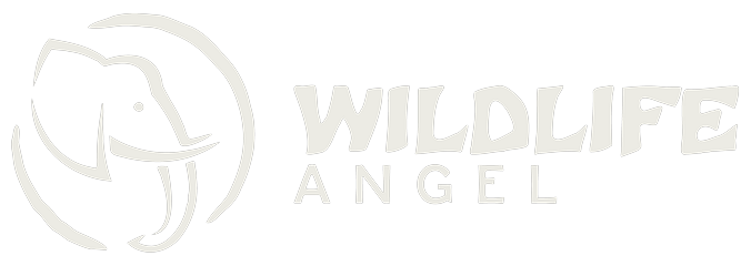 Wildlife Angel